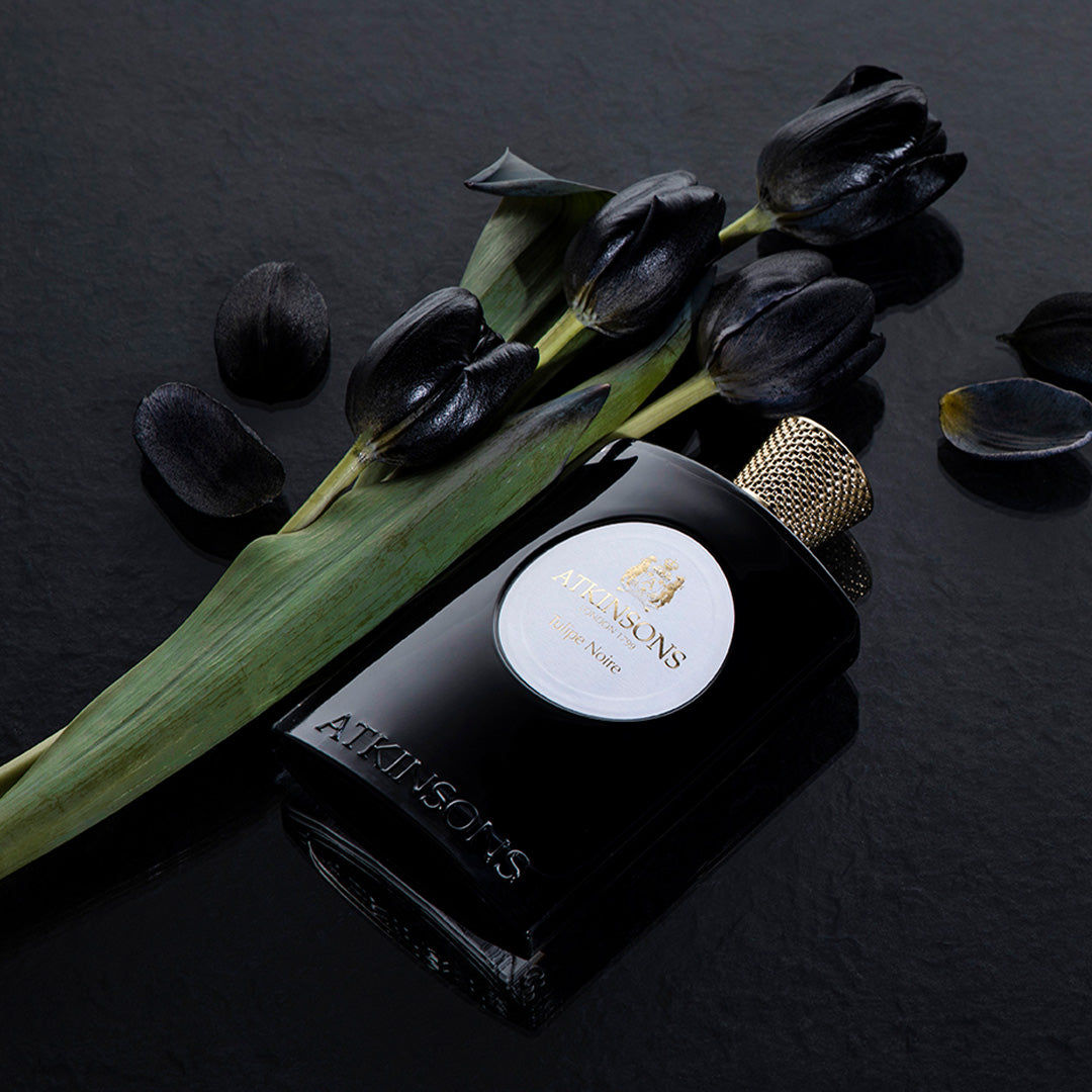 TULIPE NOIRE